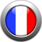 Button flag Francia