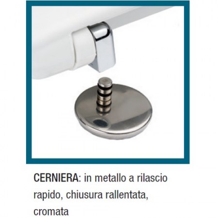 Cerniere cromate chiusura rallentata