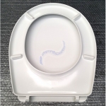 ACB Ercos BSTER6 - lato inferiore